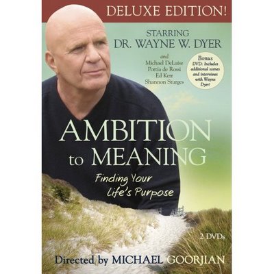 AMBITION TO MEANING